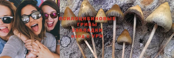 бошки Богородск