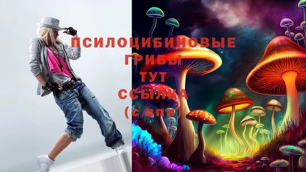 стаф Балахна