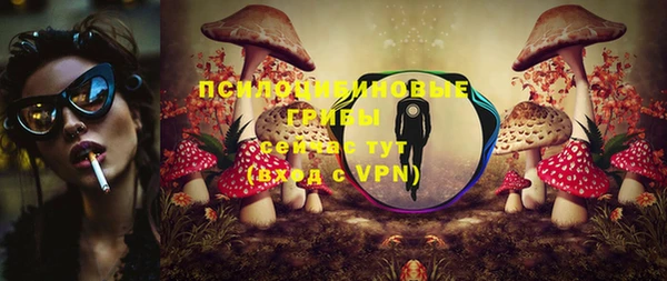 бошки Богородск