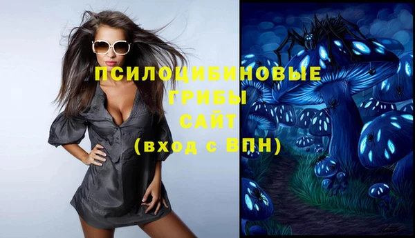 бошки Богородск