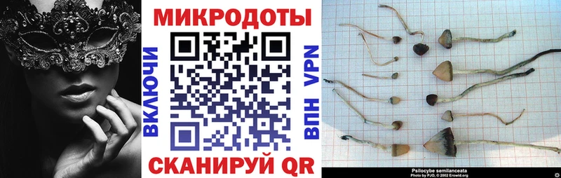 Псилоцибиновые грибы Cubensis  как найти наркотики  KRAKEN как войти  Вятские Поляны 