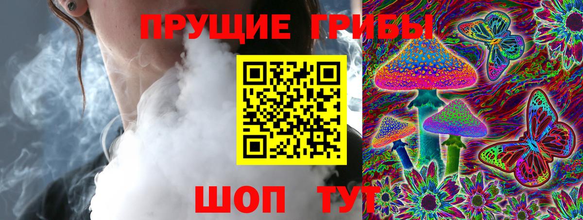 цена наркотик  Псилоцибиновые грибы GOLDEN TEACHER  Вятские Поляны  Вход с VPN  Галлюциногенные грибы GOLDEN TEACHER 